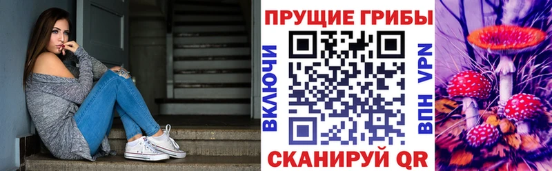 Купить  Переславль-Залесский  Галлюциногенные грибы Psilocybine cubensis 
